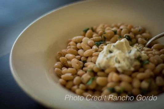 Alubia Blanca Bean