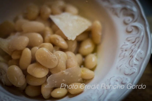 Ayocote Blanco Bean