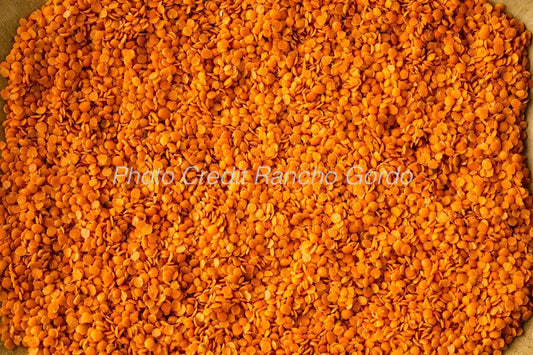 Masoor dal - Red Split Lentils