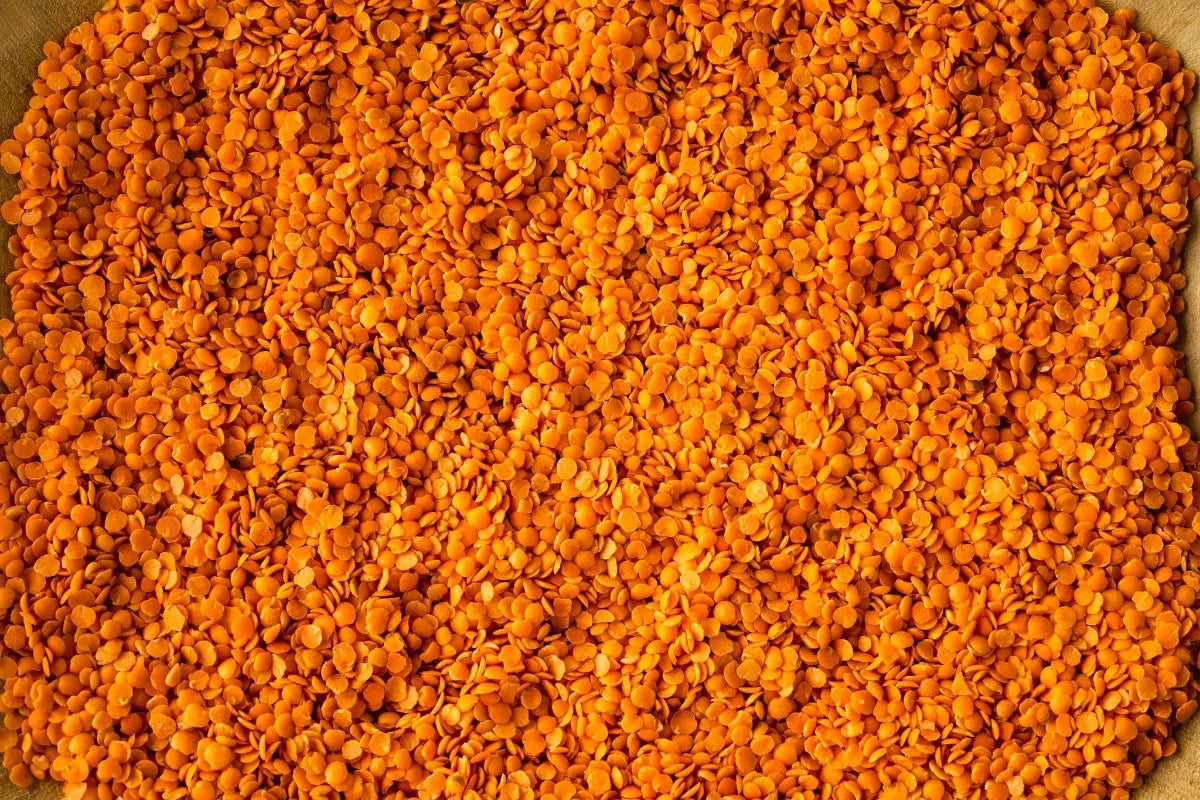 Masoor dal - Red Split Lentils