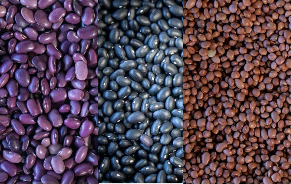 Jeff's Favorite 6 Pack