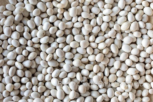 Caballero Bean