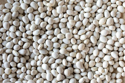 Caballero Bean