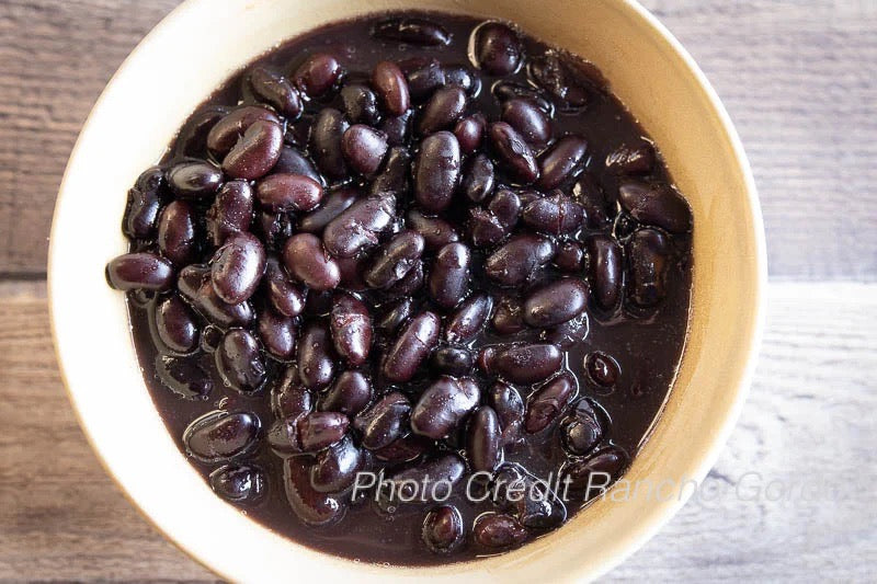 Chiapas Black Bean (Frijol Negro de Vara)
