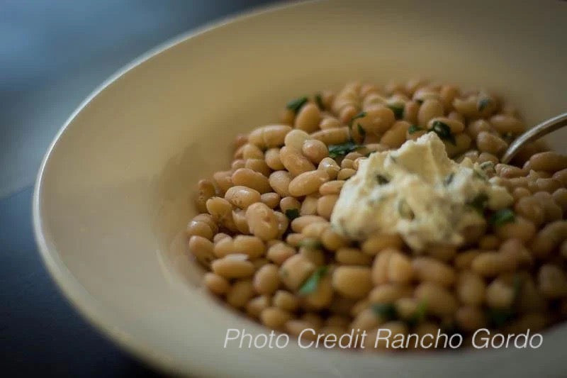 Alubia Blanca Bean