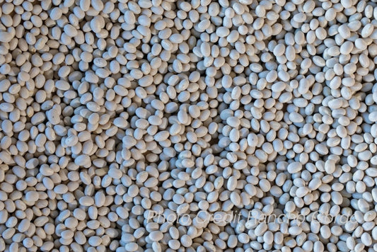 Alubia Blanca Bean