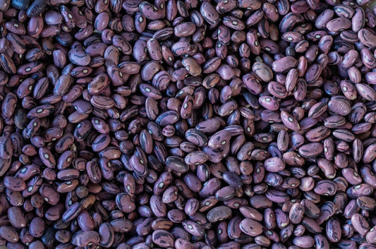 Rio Zape Bean